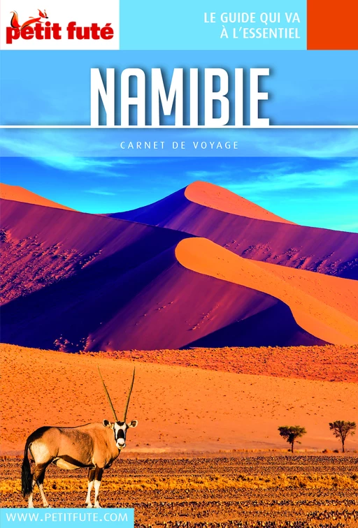 NAMIBIE 2019 Carnet Petit Futé - Dominique Auzias, Jean-Paul Labourdette - Petit Futé