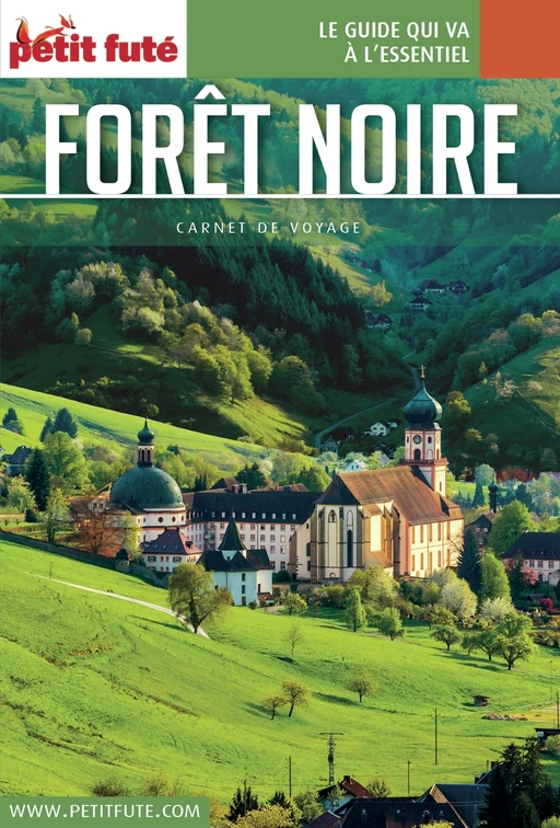 FORÊT NOIRE 2016 Carnet Petit Futé - Dominique Auzias, Jean-Paul Labourdette - Petit Futé