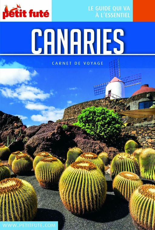 CANARIES 2018 Carnet Petit Futé - Dominique Auzias, Jean-Paul Labourdette - Petit Futé