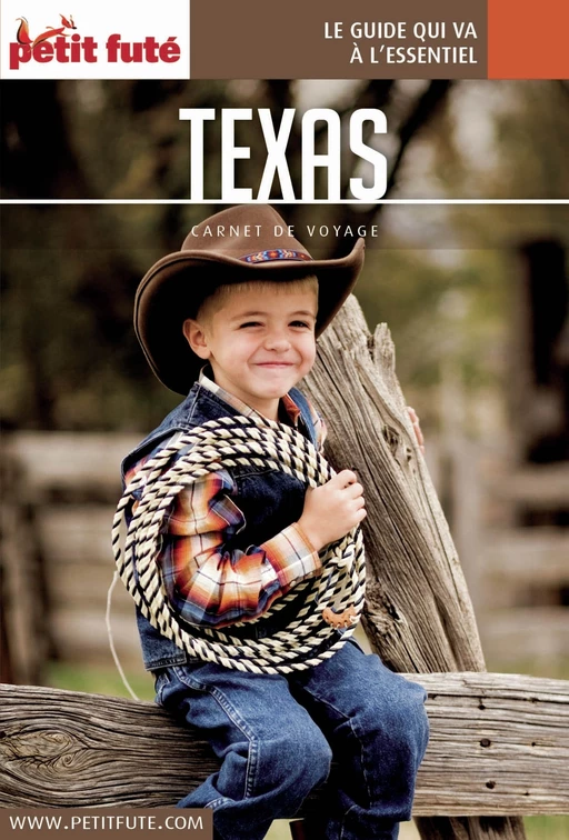 TEXAS 2017 Carnet Petit Futé - Dominique Auzias, Jean-Paul Labourdette - Petit Futé