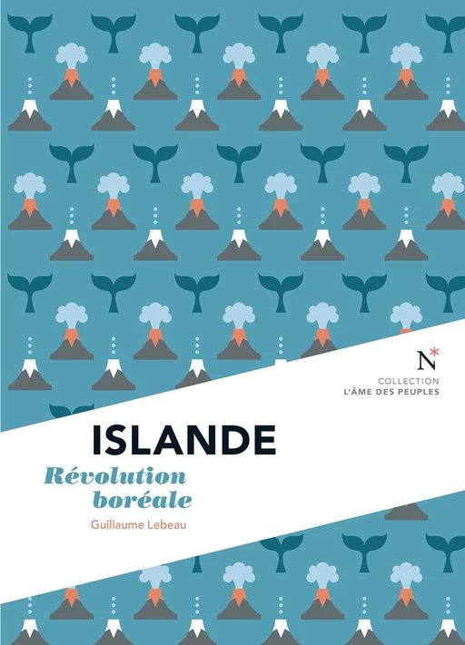 Islande - Guillaume Lebeau - Nevicata