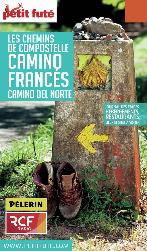 CHEMINS COMPOSTELLE - CAMINO FRANCES 2016 Petit Futé - Dominique Auzias, Jean-Paul Labourdette - Petit Futé