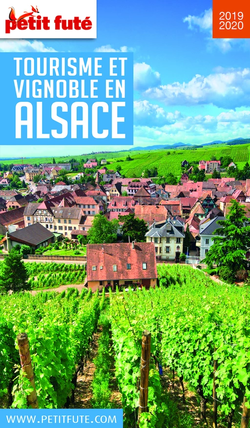 TOURISME ET VIGNOBLE EN ALSACE 2019/2020 Petit Futé - Dominique Auzias, Jean-Paul Labourdette - Petit Futé