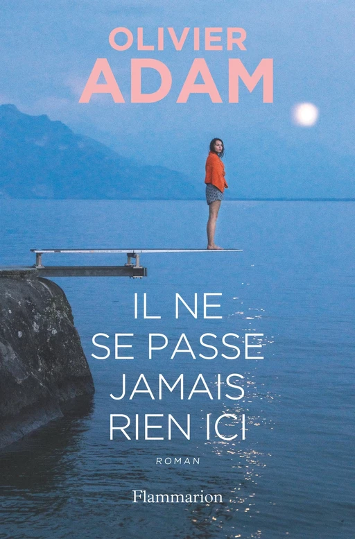 Il ne se passe jamais rien ici - Olivier Adam - Flammarion