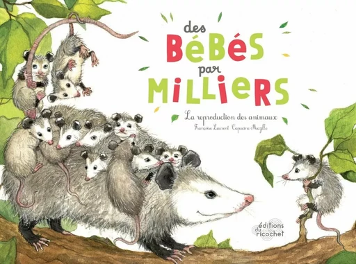 Des bébés par milliers - Françoise Laurent - Les Editions du Ricochet