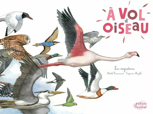 À vol d'oiseau - Michel Francesconi - Les Editions du Ricochet