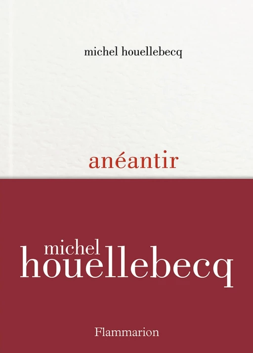 Anéantir - Michel Houellebecq - Flammarion