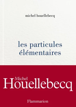 Les particules élémentaires