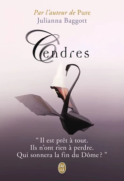 Trilogie Pure (Tome 3) - Cendres