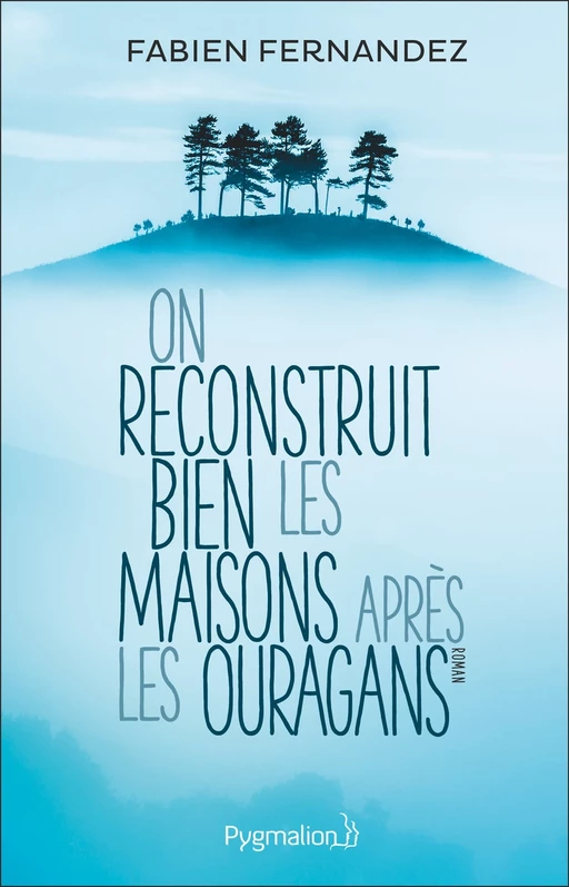 On reconstruit bien les maisons après les ouragans - Fabien Fernandez - Pygmalion