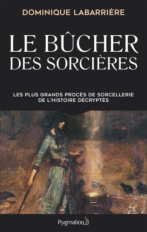 Le Bûcher des sorcières - Dominique Labarrière - Pygmalion