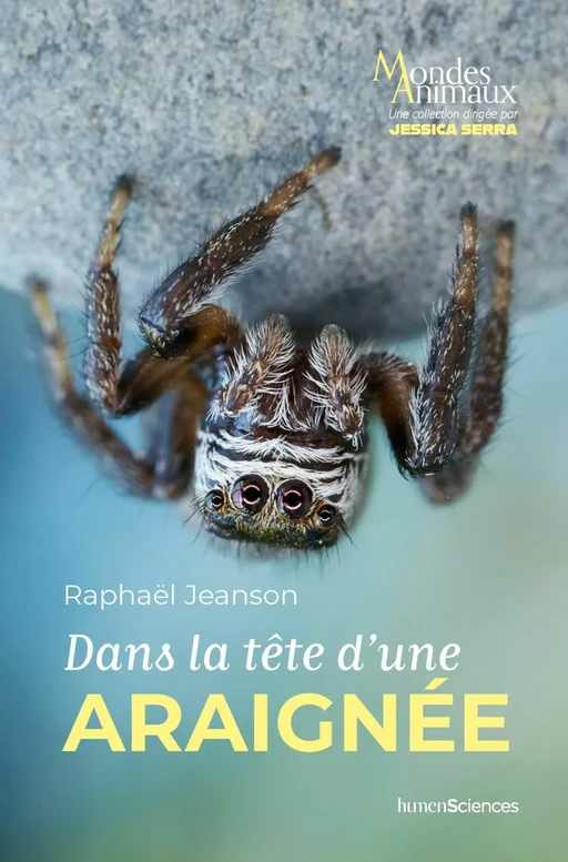 Dans la tête d'une araignée - Jessica Serra, Raphaël JEANSON - Humensis