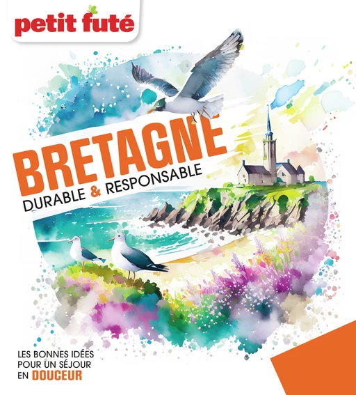 BRETAGNE DURABLE et RESPONSABLE 2024 Petit Futé - Dominique Auzias, Jean-Paul Labourdette - Petit Futé