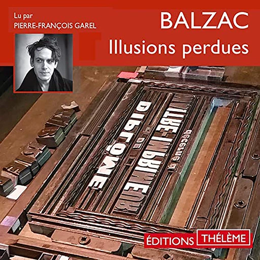 Illusions perdues - Honoré de Balzac - Editions Theleme from W. F. Howes