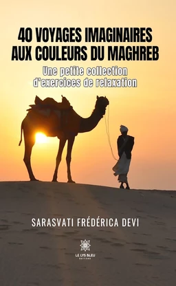 40 voyages imaginaires aux couleurs du Maghreb