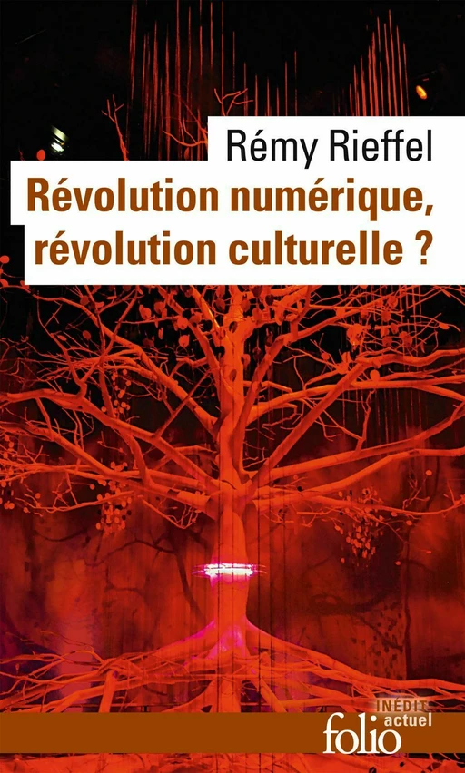 Révolution numérique, révolution culturelle ? - Rémy Rieffel - Editions Gallimard