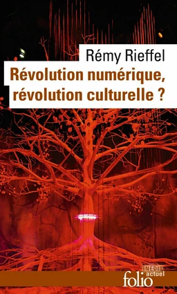 Révolution numérique, révolution culturelle ?