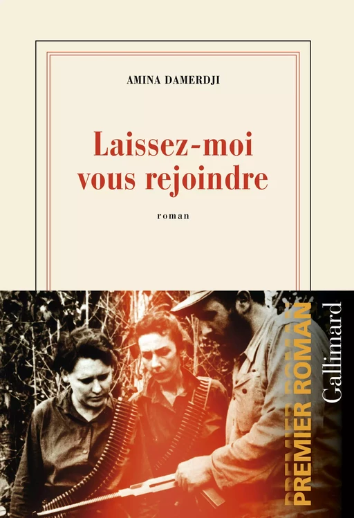 Laissez-moi vous rejoindre - Amina Damerdji - Editions Gallimard