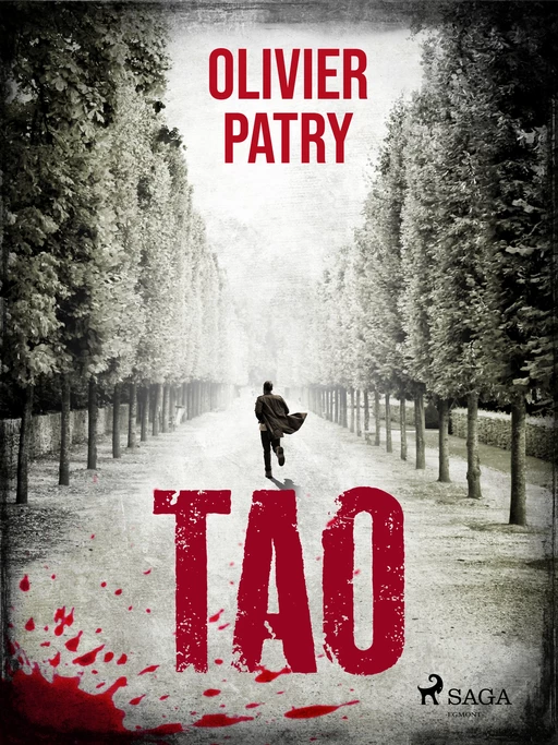 Tao - Olivier Patry - Saga Egmont French