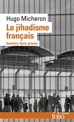 Le jihadisme français. Quartiers, Syrie, prisons