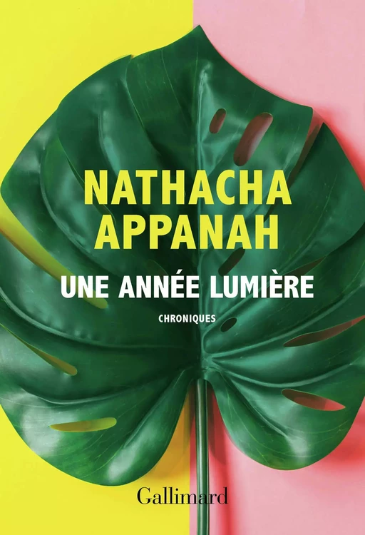 Une année lumière - Nathacha Appanah - Editions Gallimard