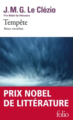 Tempête. Deux novellas