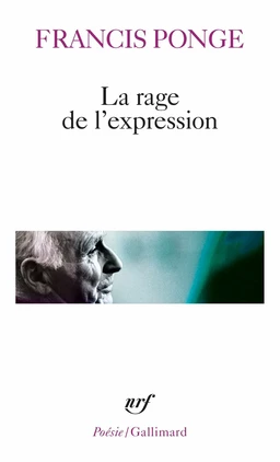 La rage de l'expression - BAC 2024