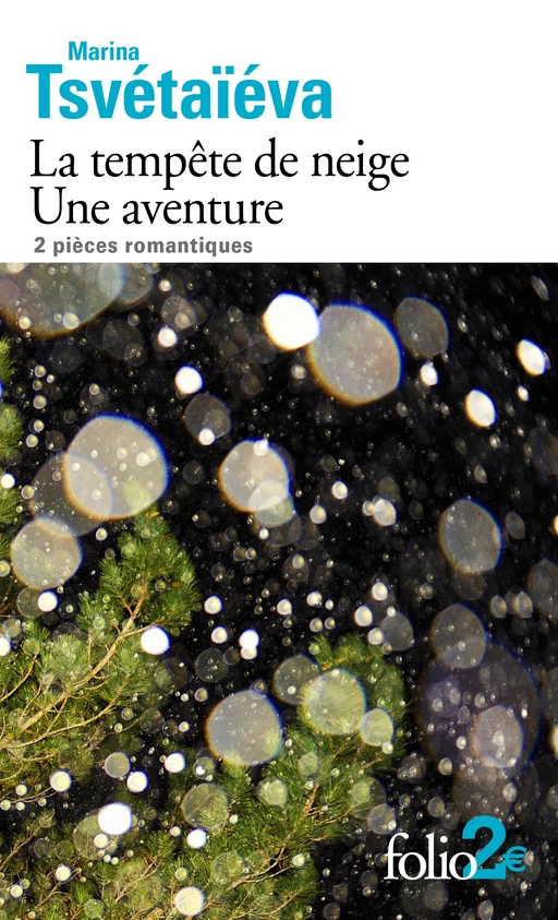 La tempête de neige – Une aventure - Marina Tsvétaïéva - Editions Gallimard