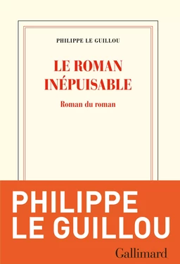 Le roman inépuisable. Roman du roman