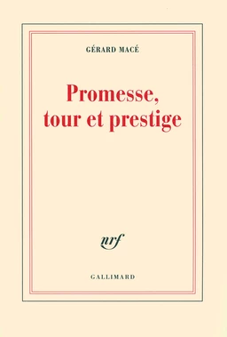 Promesse, tour et prestige