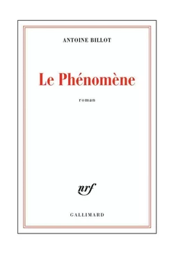 Le phénomène