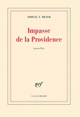 Impasse de la Providence/Jours de fête