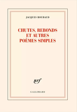 Chutes, rebonds et autres poèmes simples