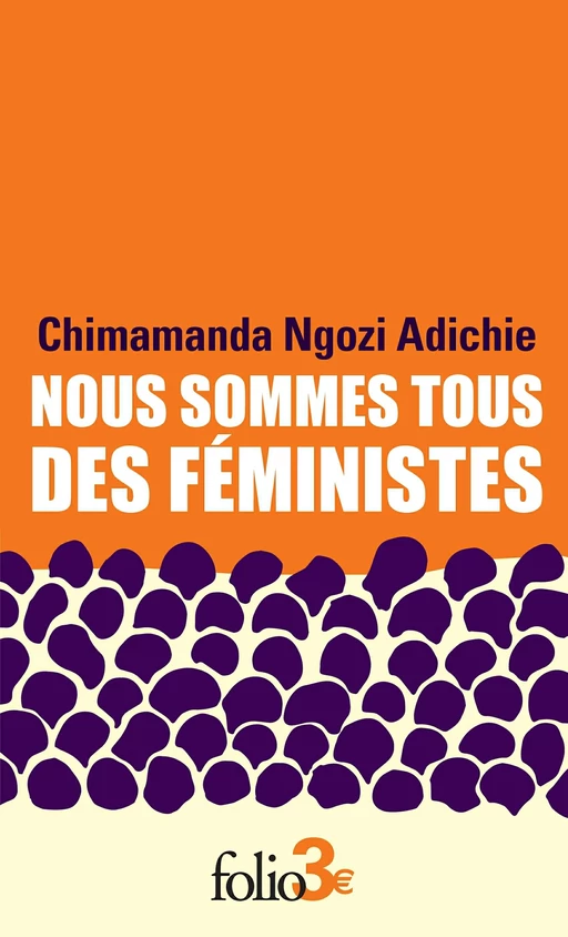 Nous sommes tous des féministes suivi de Le danger de l'histoire unique - Chimamanda Ngozi Adichie - Editions Gallimard