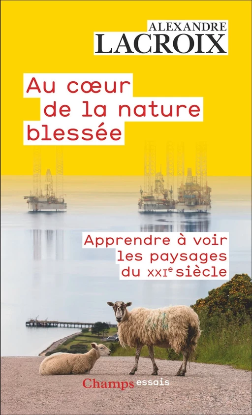 Au cœur de la nature blessée. Apprendre à voir les paysages du XXIe siècle - Alexandre Lacroix - Flammarion