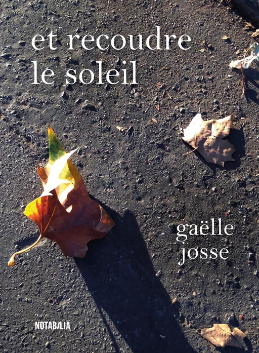 Et recoudre le soleil - Gaëlle Josse - Libella