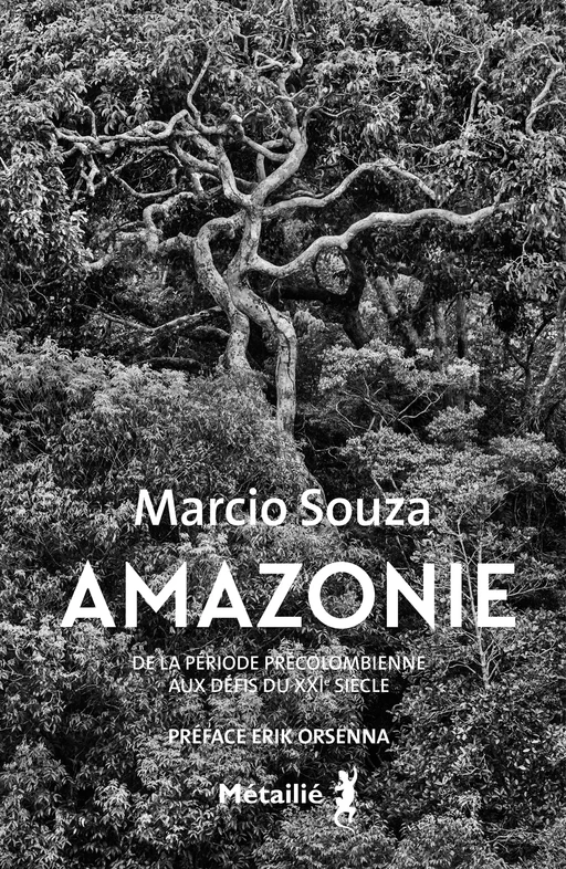 Amazonie : De la période précolombienne aux défis du XXIe siècle - Marcio Souza - Métailié