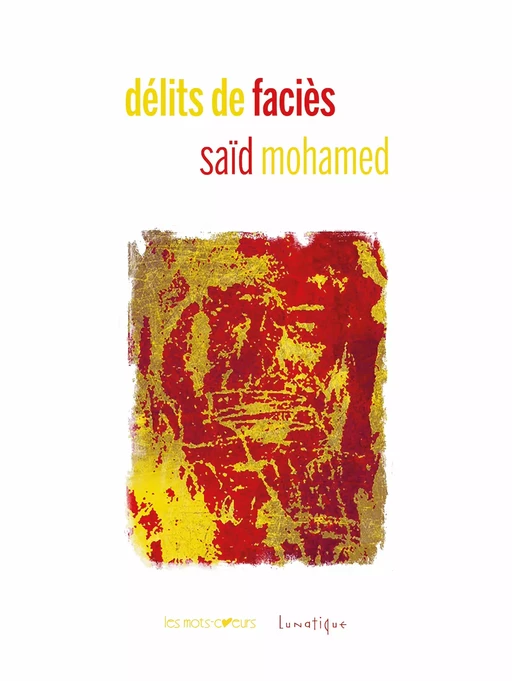 Délits de faciès - Saïd Mohamed - Editions Lunatique