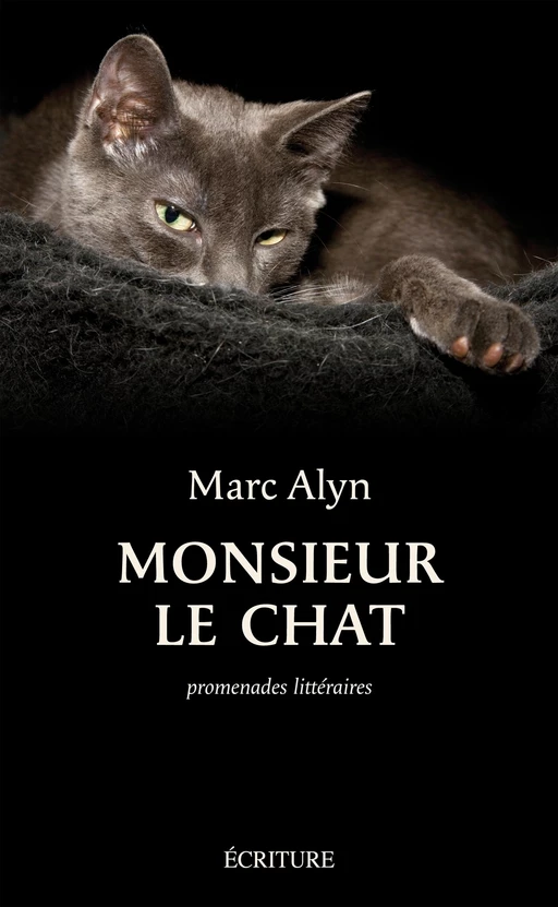 Monsieur le chat - Marc Alyn - L'Archipel