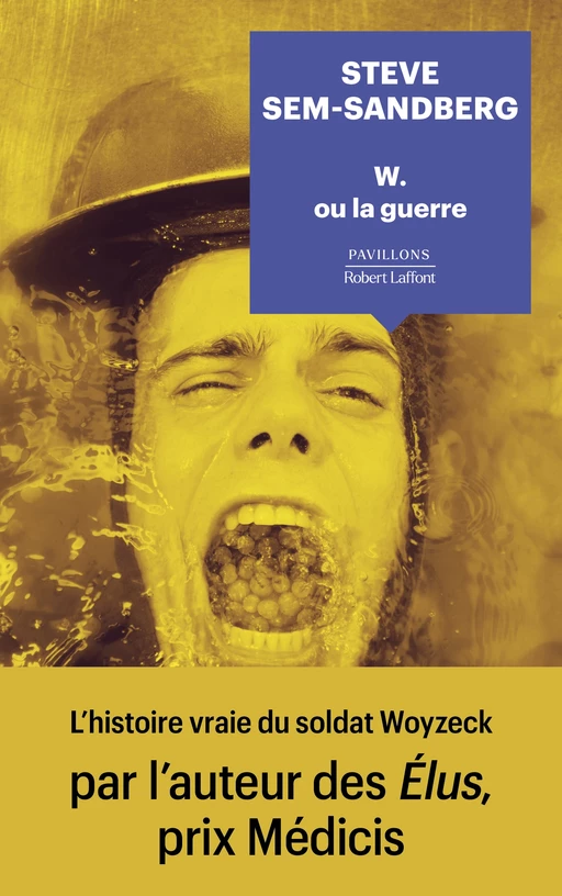 W. ou la guerre - Steve Sem-Sandberg - Groupe Robert Laffont