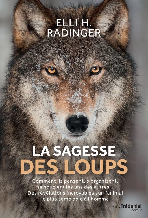 La sagesse des loups - Comment ils pensent, s'organisent, se soucient des autres... - Elli H. Radinger - Tredaniel