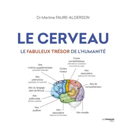 Le cerveau - Le fabuleux trésors de l'humanité