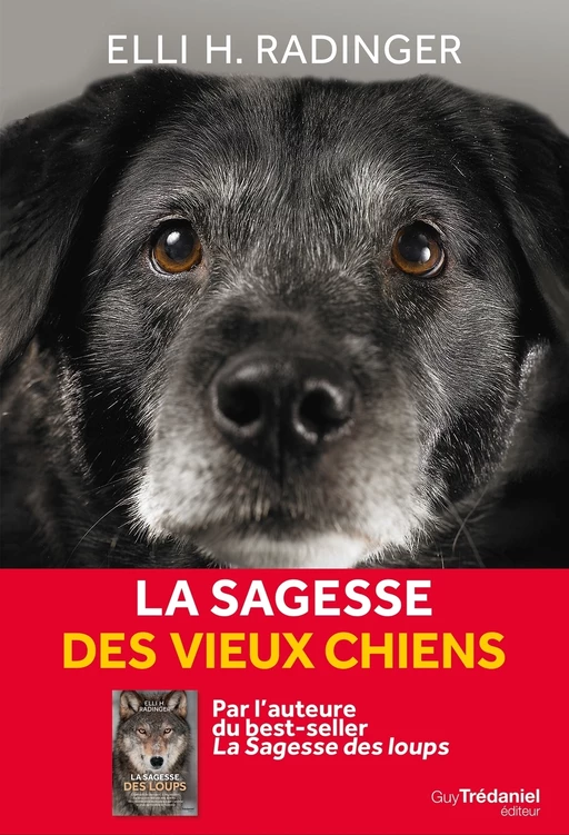 La sagesse des vieux chiens - Elli H. Radinger - Tredaniel