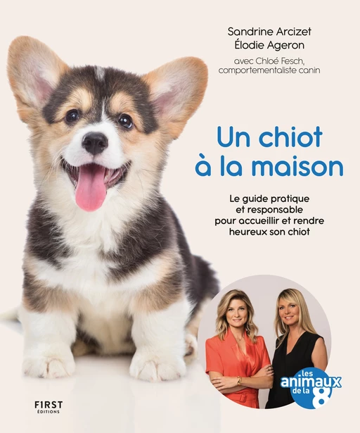 Un chiot à la maison - Animaux de la 8 - Sandrine Arcizet, Elodie Ageron - edi8