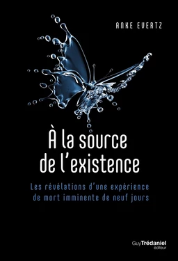 À la source de l'existence - Les révélations d'une expérience de mort imminente de neuf jours