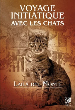 Voyage initiatique avec les chats