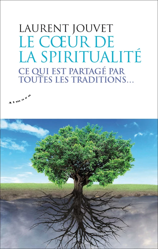 Le coeur de la spiritualité - Ce qui est partagé par toutes les traditions - Laurent Jouvet - Dervy