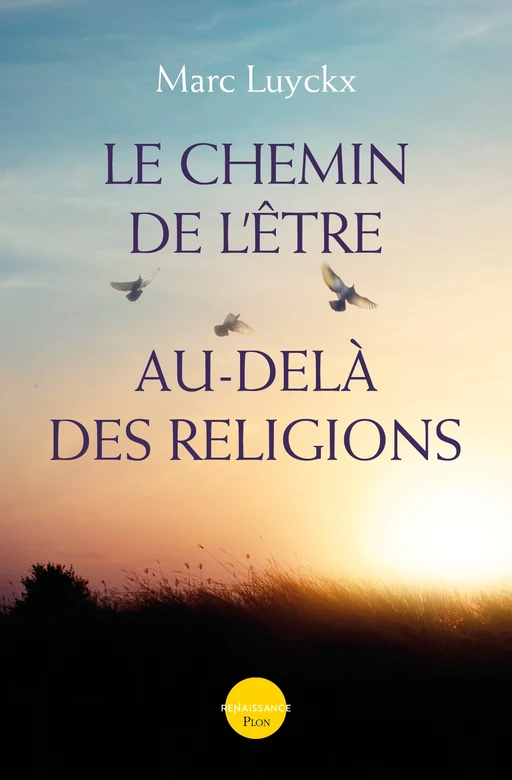 Le chemin de l'être au-delà des religions-Nouvelle édition - Marc Luyckx - Place des éditeurs