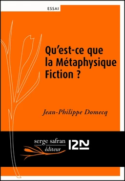 Qu'est-ce que la métaphysique fiction ?