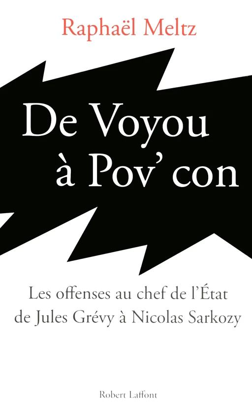 De voyou à pov' con - Raphaël Meltz - Groupe Robert Laffont